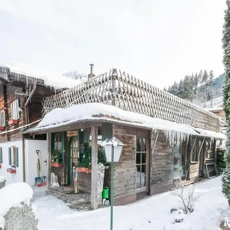 Bramberg Near Wildkogelbahn, Cleaning Included 度假居